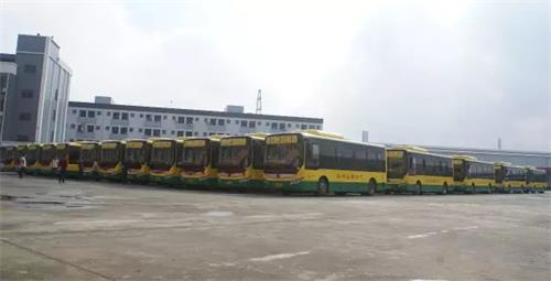 60台电动公交车整装待发、场面非常壮观